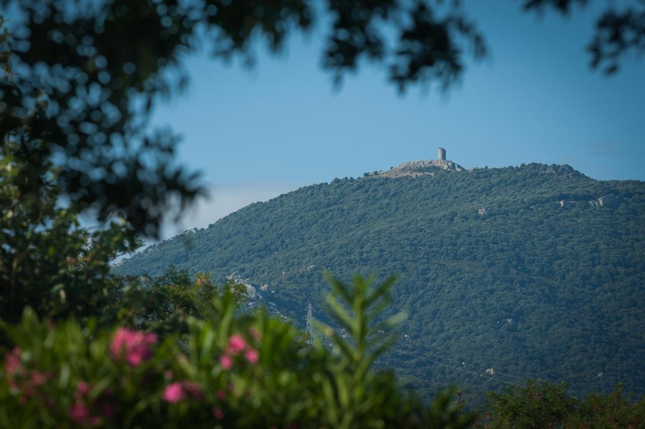 Camping La Plage Argeles Kültér fotó
